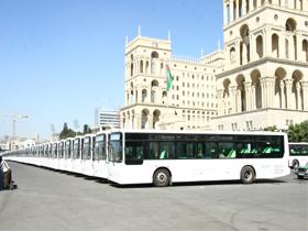 В Баку доставлено 222 групногабаритных автобусов [фото]