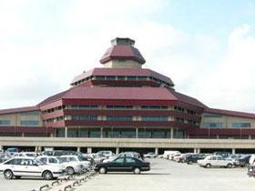 В главном аэропорту Азербайджана установлены термовизоры для выявления вируса «свиного гриппа»